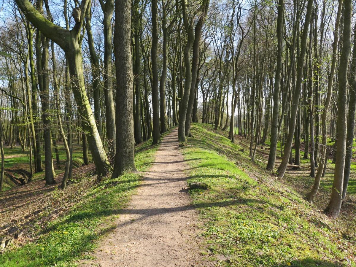 Ferienwohnungen Am Danewerk Dannewerk 外观 照片